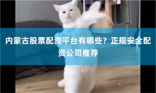 内蒙古股票配资平台有哪些？正规安全配资公司推荐
