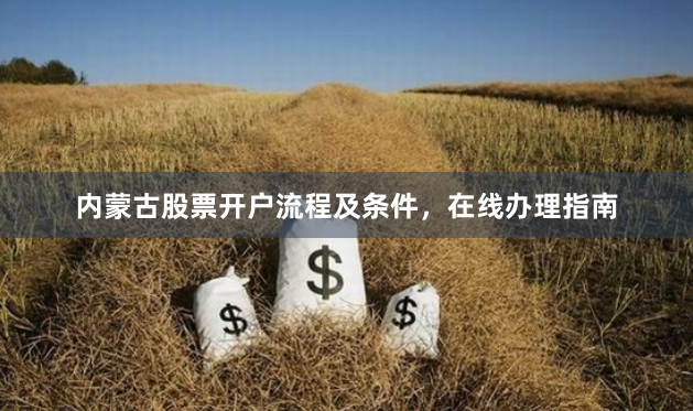内蒙古股票开户流程及条件，在线办理指南