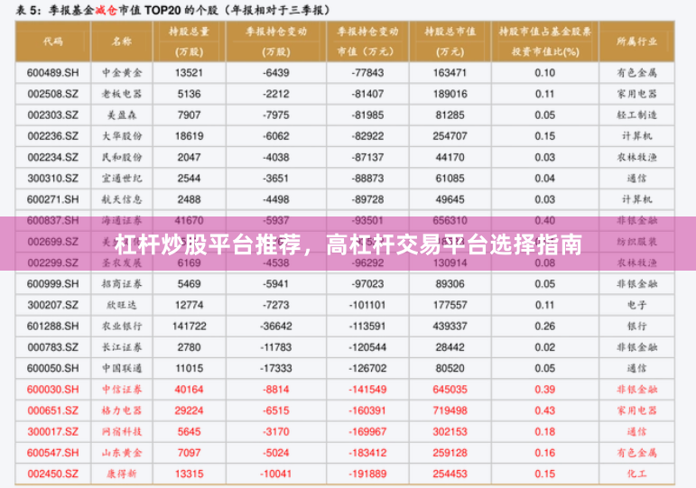 杠杆炒股平台推荐，高杠杆交易平台选择指南