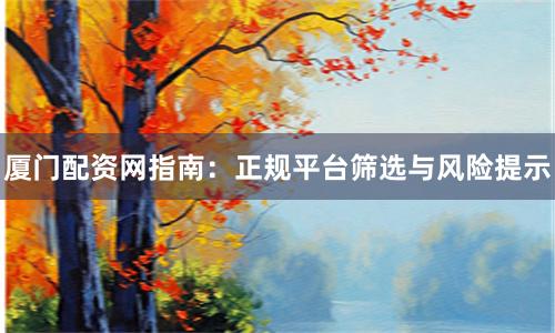 厦门配资网指南：正规平台筛选与风险提示